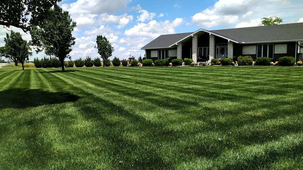 Lush green lawn after fertilizer program